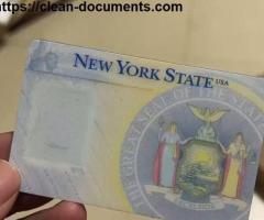 Passports, Visas, Driver's License, ID CARDS,