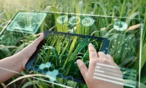 Hitachi Energy presenta EcoSpace™, su nueva plataforma digital de sostenibilidad